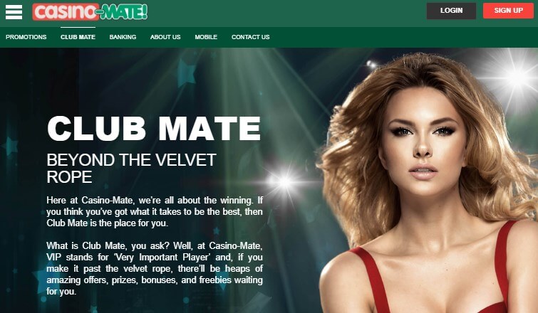 Casino Mate