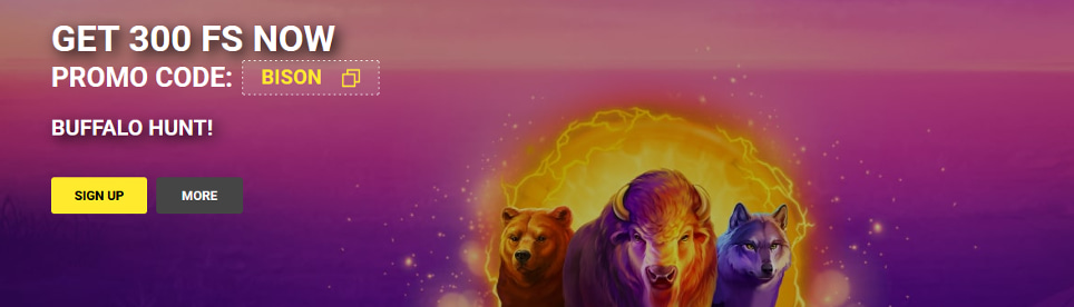 Free Spins Bonus Olympia Casino